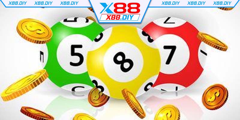 Tìm Hiểu Cách Nuôi Dàn Đề 36 Con Theo Từng Ngày